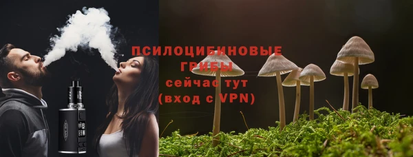 mdpv Надым