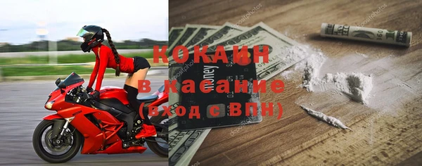 молекула духа Ельня
